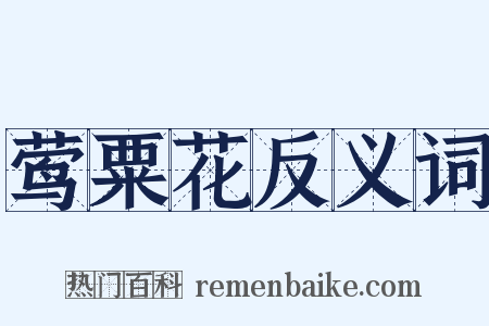 莺粟花反义词是什么意思的图片